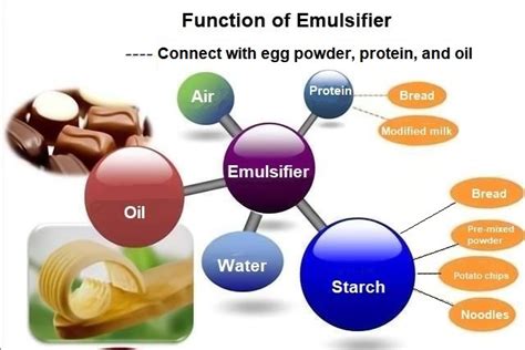 How To Use Emulsifier In Food Processor