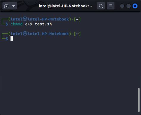 how to use executable file in linux