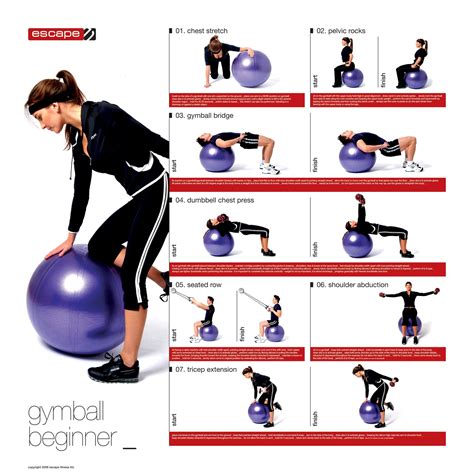 How To Use Exercise Ball For Core