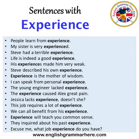 how to use experience in a sentence