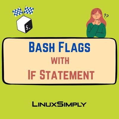 How To Use Flags Bash