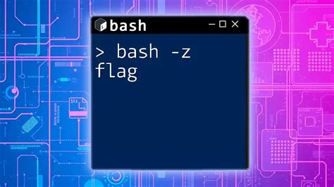 How To Use Flags In Bash