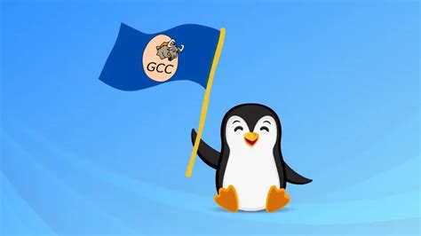 How To Use Flags In Linux