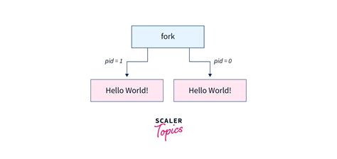 How To Use Fork In C