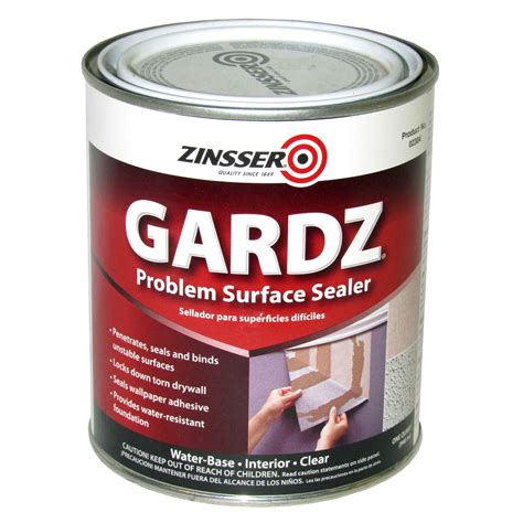 How To Use Gardz Problem Surface Sealer