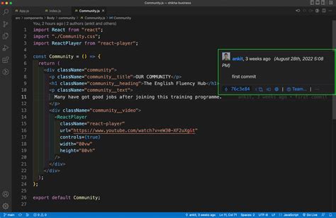how to use git blame in vs code