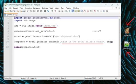 how to use google gemini api in python