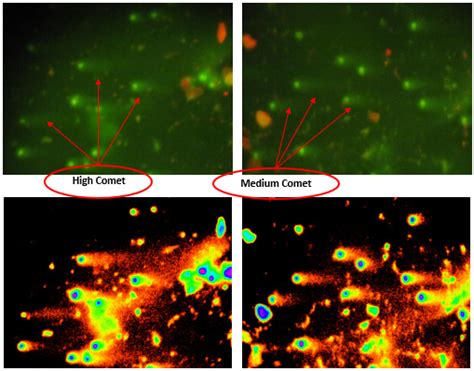 How To Use High Comet