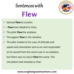 How To Use In A Sentence Flew