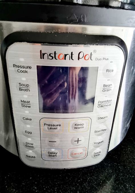 How To Use Instant Pot Sterilize Function