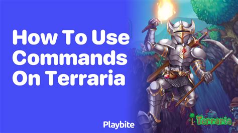 How To Use Item Commands In Terraria