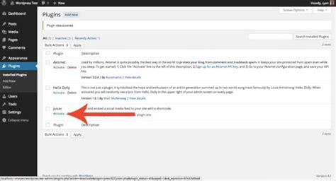 How To Use Juicer Wordpress Plugin