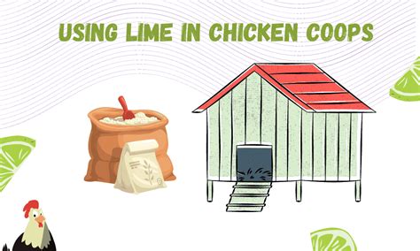 How To Use Lime In The Chicken Coop