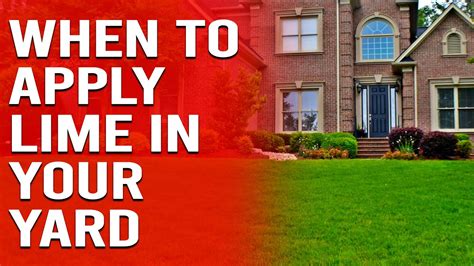 How To Use Lime In Your Yard