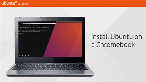 how to use linux apps on chromebook