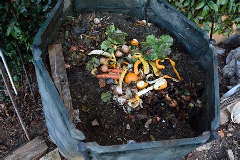 How To Use Liquid From Compost Bin