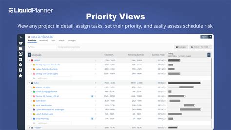 How To Use Liquidplanner