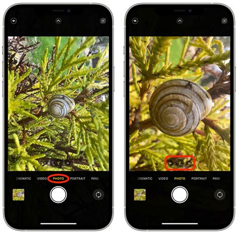 how to use macro camera on iphone