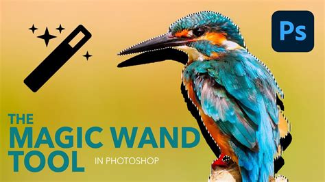 How to Remove Background Using Magic Wand Tool in