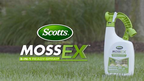 how to use mossex moss killer