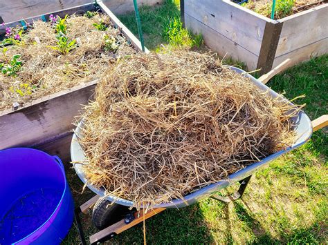 How To Use Mulch In Raised Bed