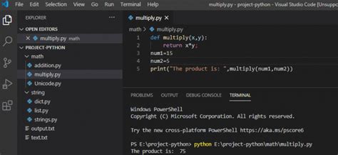 how to use multiply in python