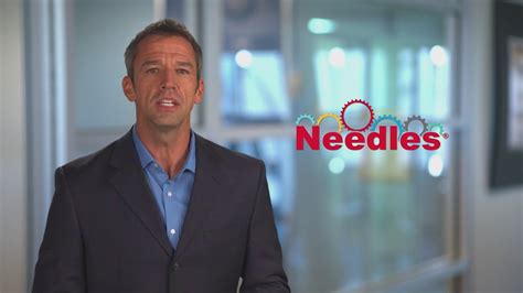 How To Use Needles Software