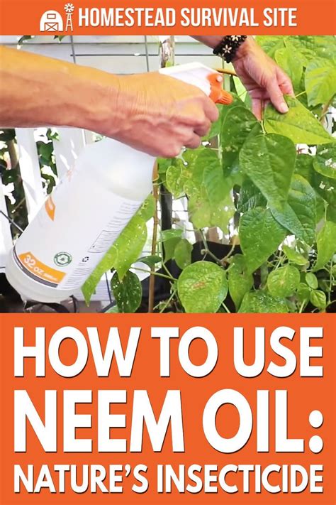 How to Use Neem Oil Nature’s Insecticide Neem oil, Neem, Insecticide