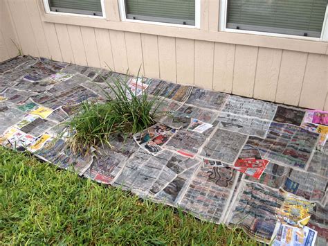 how to use newspaper in the garden