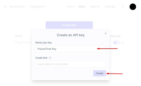 how to use openrouter api key