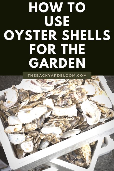 How To Use Oyster Shells In Garden