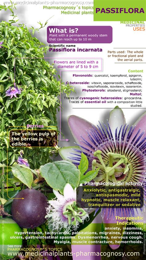 how to use passionflower medicinally