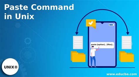 How To Use Paste Command In Unix
