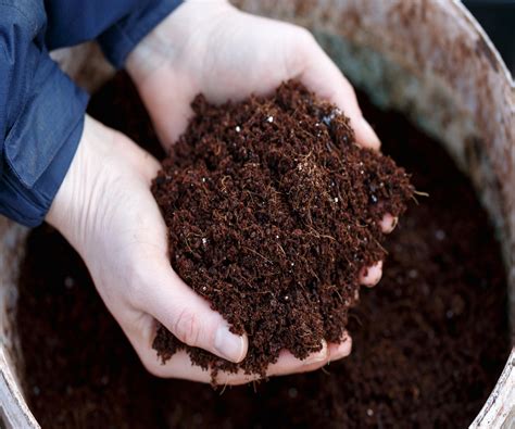 How To Use Peat Free Compost