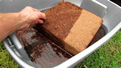 How To Use Peat Moss In Raised Bed