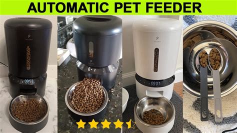 How To Use Petlibro Pet Feeder