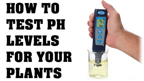 How To Use Ph Tester
