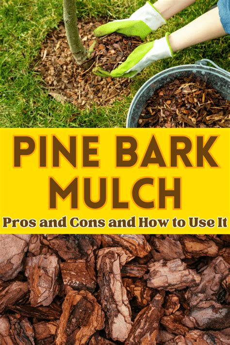 How To Use Pine Mulch