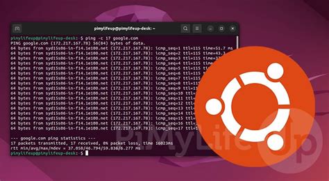 how to use ping command in ubuntu