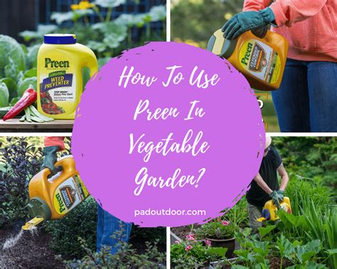 how to use preen in the garden