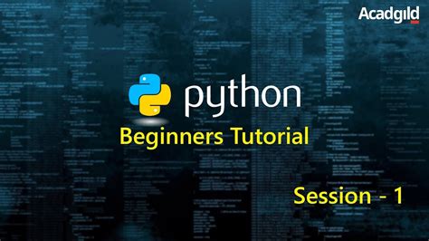 how to use python code for beginners