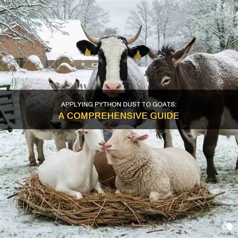 How To Use Python Dust