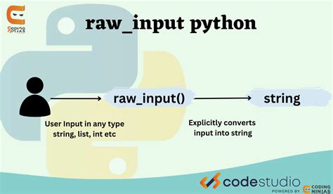 how to use raw_input in python
