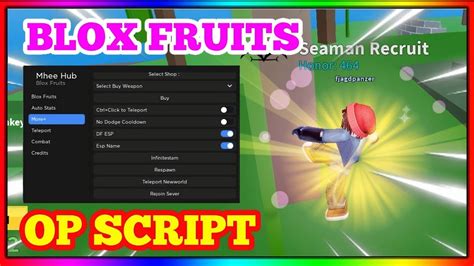 how to use scripts in roblox blox fruits