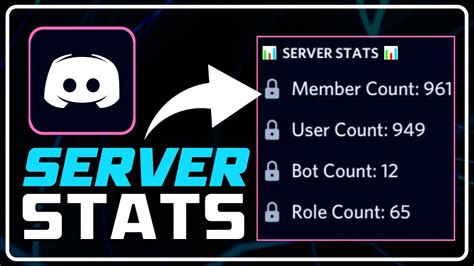 How To Use Server Stats Bot Discord