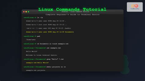 How To Use Set Command In Linux