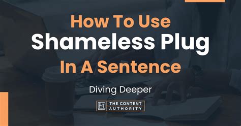 how to use shameless plug in a sentence