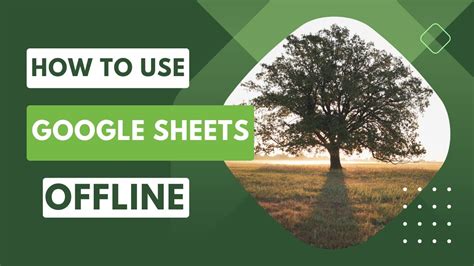 How To Use Sheets Offline