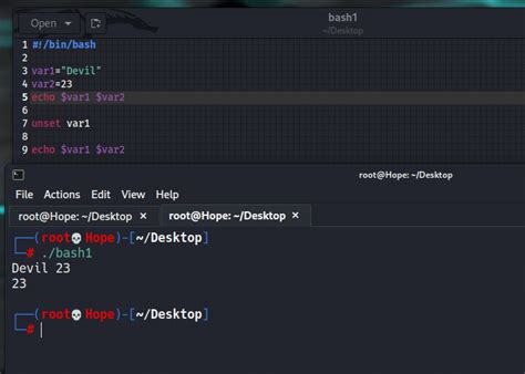 How To Use Shell Variable In Python Script