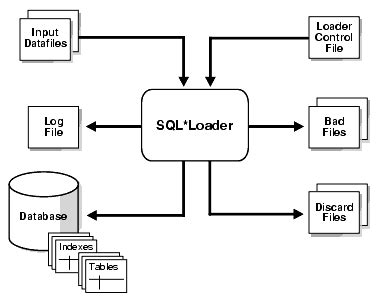 how to use sql loader in oracle sql developer